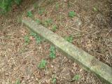 image of grave number 336696